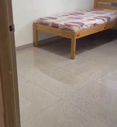 Tampines Street 82 (Tampines), HDB HUDC #620759541